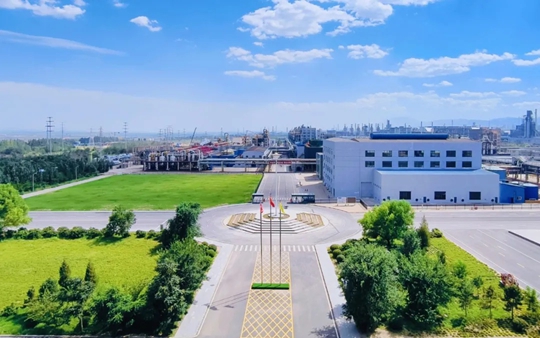 內(nèi)蒙古宜化榮獲自治區(qū)科學技術(shù)進步二等獎